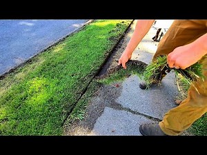 Complete STRANGER Gets Full Lawn Service At NO CHARGE
