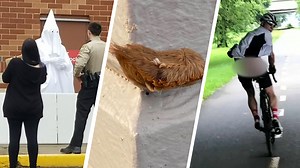 These Were the DC Region's Strangest Stories of 2020