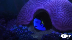 4K views · 33 reactions | Are you catching more s or ☀️rays today? #FindingDory in cinemas June 17 Ellen DeGeneres | Walt Disney Studios | Facebook