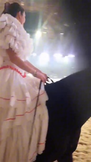 Un petit résumé du passage de L’AECE sur le salon cheval passion. Nous remercions tous les éleveurs présents, les éleveurs venus nous rendre visite pendant cette semaine incontournable! 📹 Isaora Marques | AECE