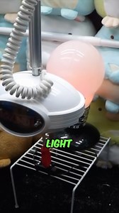 235 reactions | IMPOSSIBLE Claw Machine Win! 壘 #reels #trending #clawmachine | Carson Claws | Facebook