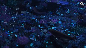 Dva roky sme pracovali na budovaní novej siete. 🌊 Teraz v nej môže až 92,3 % z vás využívať rýchly 4G LTE internet. Viac info > > bit.ly/vsetko-o-novej-sieti Celé video s uškatcom > > bit.ly/video-novasiet | O2 SK