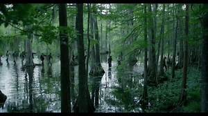 38K views · 275 reactions | Based on the incredible true story, witness an everyman’s stand against persecution during American history’s darkest hour. In cinemas September 30th. | STUDIOCANAL | Facebook