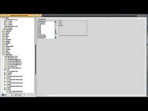 CarProg 8.21 with On-line Access Clone