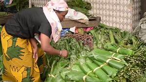 265K views · 5.1K reactions | [Société]Gros plan sur l'usage du "Thaumatocus Danielli" communément appelé "Feuille d'attiéké" en Côte d'Ivoire, par les populations. #RTIinfo | RTI Info | Facebook