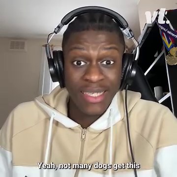 5.7K views · 58 reactions | Everyone deserves an advent calendar...especially dogs  | VT | Facebook