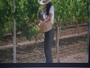 GRUPO EXTERMINADOR EL PERDEDOR