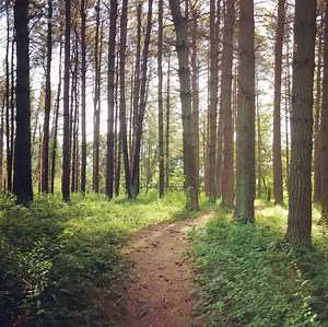 Putnam County Convention & Visitors Bureau (CVB) in Hurricane, WV - Almost Heaven - West Virginia