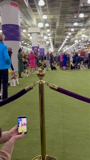 Rebecca Hergott on Reels