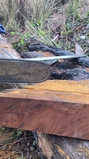 The procces cutting wood by saw machine