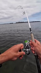 21K views · 188 reactions | What a strike! Check out the STRADIC SEA BASS in action. #ShimanoFishing #FishShimano #StradicSeaBass | Shimano-Fishing | Facebook
