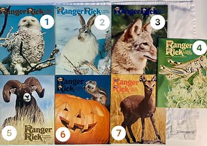 Ranger Rick's Nature Magazine - 70s Vintage - Wildlife Biology Nature Media Periodicals Kids Educational - Etsy