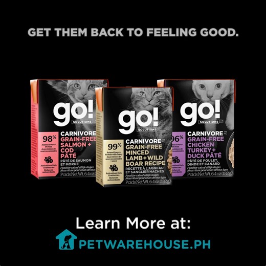 Not all cats are the same, and neither are their diets. Go! Solutions delivers trusted nutrition for unique needs, helping your cat bounce back and feel their best. Premium and made to support even the most sensitive felines. Go! Solutions are available at petwarehouse.ph! | Pet Warehouse Philippines