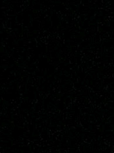 Algerian Ray Music Vibes