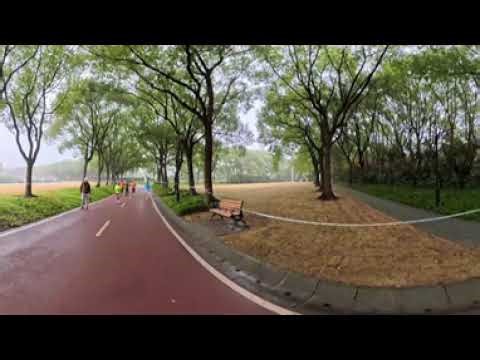 Relaxing 360 Video: Lush Green Trail & Bird Sounds (Immersive VR) (4K VR ASMR) Drag your screen 🌿🐦