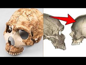 Scientists Finally Found Neanderthal DNA In Modern Humans