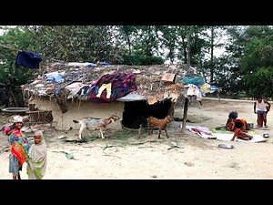How Poor People Survive In The Rural Village India || Village Life In India || Uttar Pradesh Life