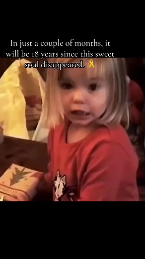 The Ongoing Search for Madeleine McCann: Update
