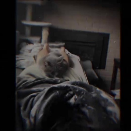 Mix Dance Trends You Will Love