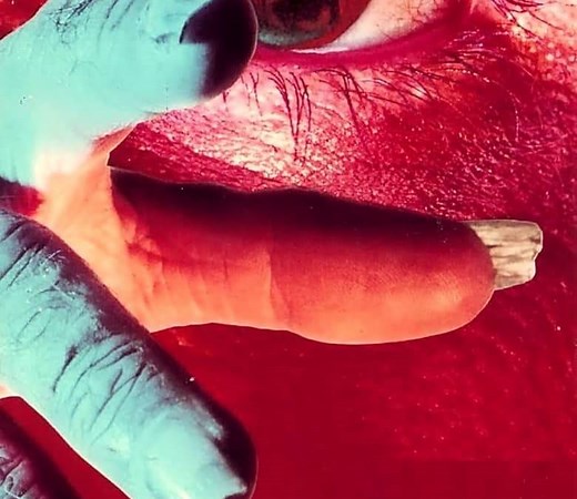 The Carrier Summary, Trailer, Cast, Where to Watch and More