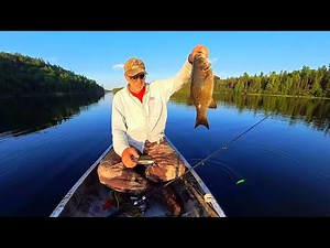 BWCA, 11 days at Knife Lake 2023, fishing and camping.