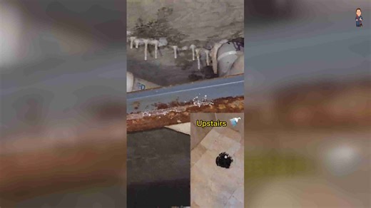 How to Check a Shower Pan for Leaks: DIY Home Inspection Guide