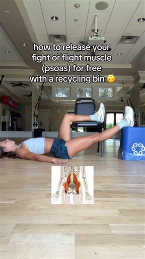 kasey | the nervous system OT on Instagram: "The waitlist for the psoas release for nervous system regulation program is in my bio :) How the psoas is the fight or flight muscle: The psoas is directly tied into the sympathetic nervous system (“fight or flight”). When the brain perceives danger, it sends signals that activate the psoas to prepare the body to flee or fight. The psoas contracts to flex the hips (ready to run) or curl into a protective fetal position. Chronic stress, trauma, or prol