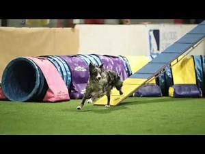 Fantastic Running Contacts with Jordan Biggs -- Online Course