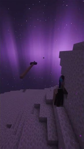 What Happens If You Put a Bed in the End 🛏️💀