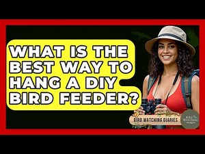 What Is The Best Way To Hang A DIY Bird Feeder? - Bird Watching Diaries