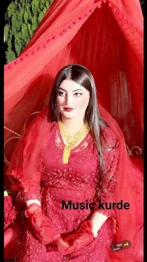 25K views · 2.7K reactions | Music kurde on Reels | Facebook