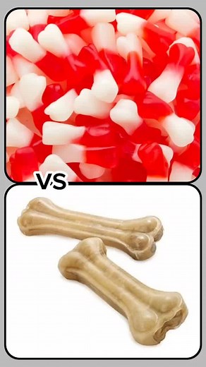 Food Comparison: Bone-Shaped Candy vs. Other Treats