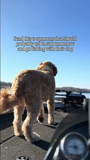 Every day is a good day for a sick day. #InTheKurrent #FishingForALiving