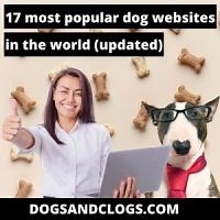 17 Most Popular Dog Websites In The World (Updated 2023) - DogsAndClogs
