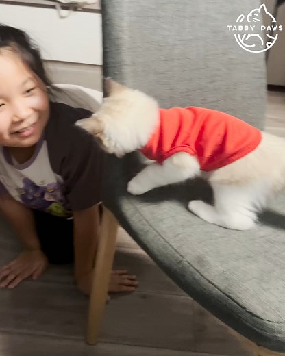 The cutest game of peek a boo ever 🥰👶 | Tabby Paws