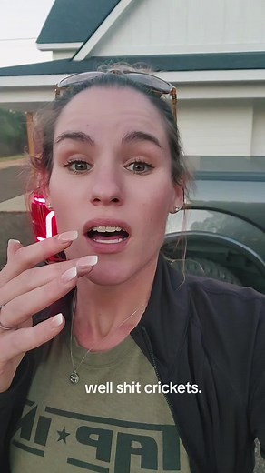 Ladybugs Flying High: A Surprising Sight | Cargirlcj Storytime