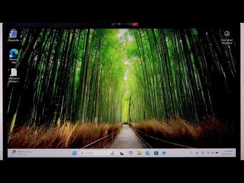 LENOVO V15 화면에 커서 다시 표시하기