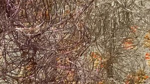 Stedelijk Museum Amsterdam on Reels