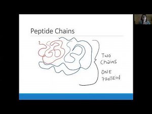 Biochemistry Lecture 3.7