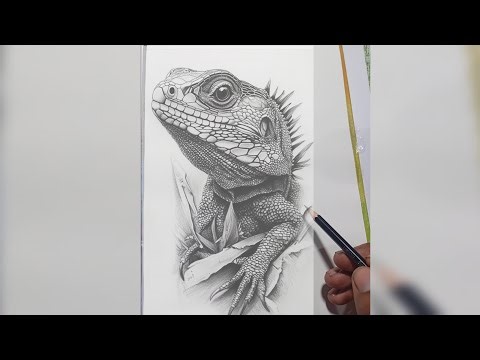 Draw A lizard 🦎 Very close to real