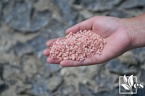 0-0-60 Fertilizer Guide - Uses And Application For Every Level - Evergreen Seeds