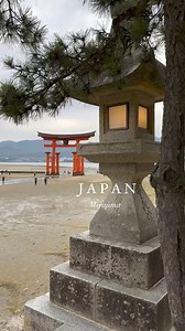 9K views · 216 reactions | This is Miyajima island Famous for its...