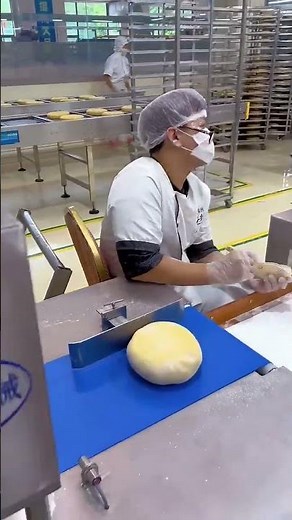 The Gentle Art of Pastry Folding #baking #chineseburger#mooncake