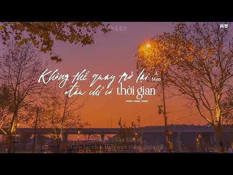 [Vietsub+Pinyin] Không thể quay trở lại đâu chỉ có thời gian - A Mao |《回不去的何止时间》- 吖毛 | 风又起叶落地~