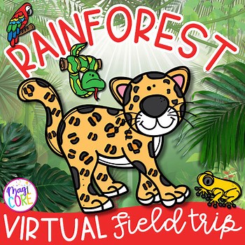 Rainforest Virtual Field Trip Activity Animal Adaptations Habitats Layers Amazon