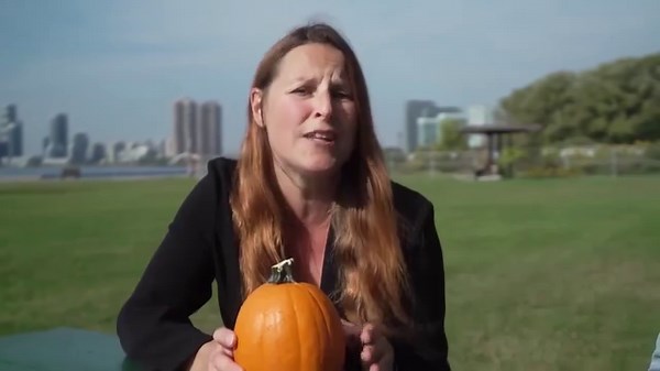 2.7K views · 40 reactions | Fall is here, and it's time to take advantage of all the great things that come with this cozy season. One of the best things to enjoy? PUMPKIN!  Here are some reasons why you should put pumpkin on your plate. | The Weather Network | Facebook