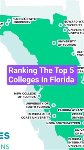 Ranking The Top 5 Colleges In Florida #florida