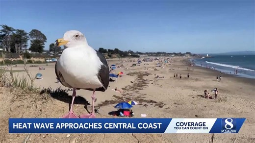 Warm weather draws crowds to Central Coast beaches and parks