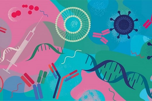 The disease-fighting promise of mRNA - Johns Hopkins Biomedical Engineering