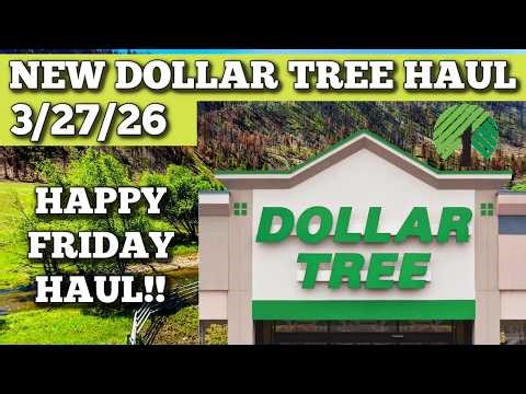 NEW DOLLAR TREE HAUL 3/27/26